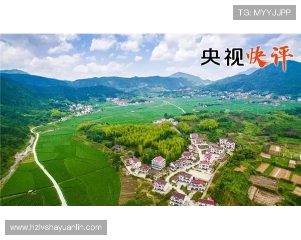 清溪姚明东的故事与传承探寻乡村振兴中的文化底蕴与发展潜力
