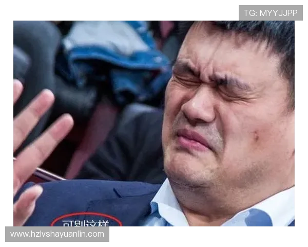 谢霆锋与姚明的巅峰对决：娱乐与体育的完美交融之路