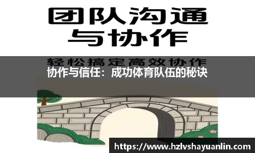 协作与信任：成功体育队伍的秘诀